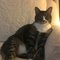 Fundraising Page: Jynx Maturo